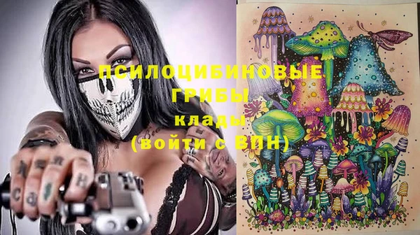 эйфоретик Горнозаводск