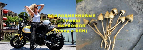 эйфоретик Горнозаводск